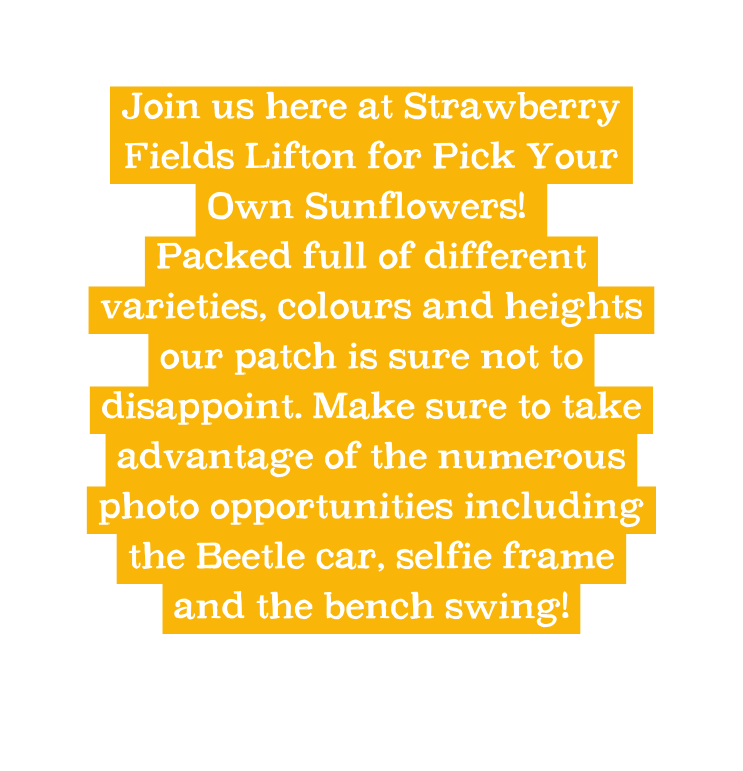 Join us here at Strawberry Fields Lifton for Pick Your Own Sunflowers Packed full of different varieties colours and heights our patch is sure not to disappoint Make sure to take advantage of the numerous photo opportunities including the Beetle car selfie frame and the bench swing